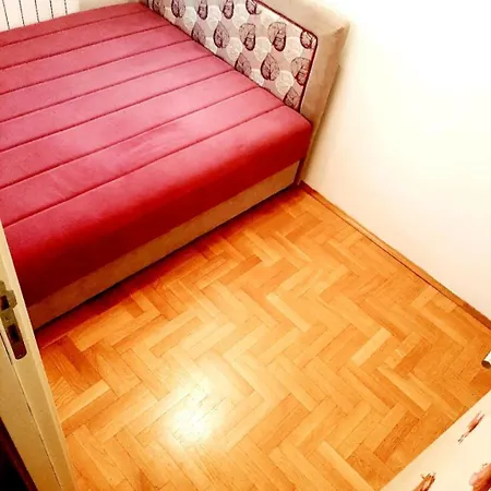 Purple Belgrade